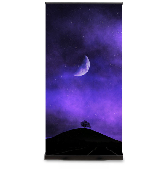 Next Day Delivery | BLACK Roller Banner | Portable Presentations