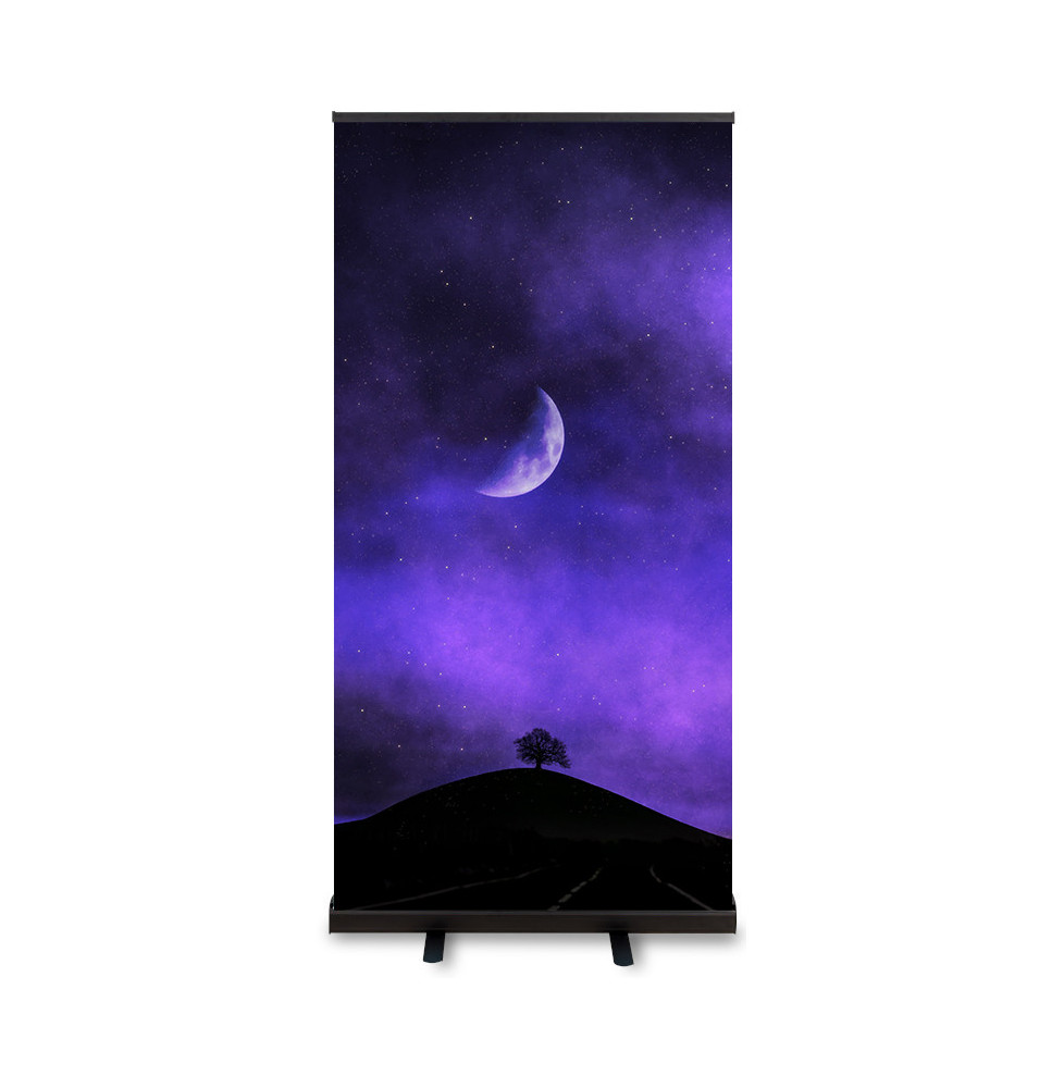 Next Day Delivery | BLACK Roller Banner | Portable Presentations