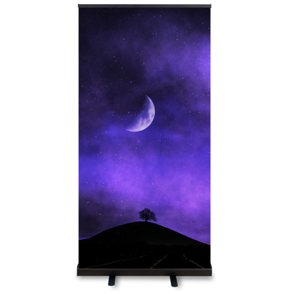 Next Day Delivery | BLACK Roller Banner | Portable Presentations